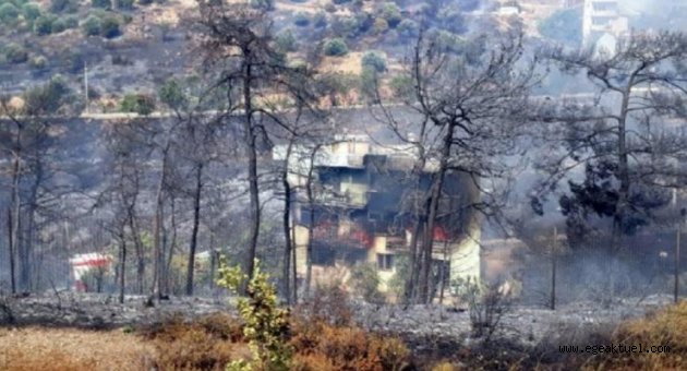 İzmir'de zeytinlik alanda korkutan yangın!