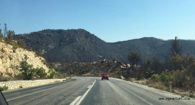 İzmir'deki büyük yangın sonrası acı tablo!