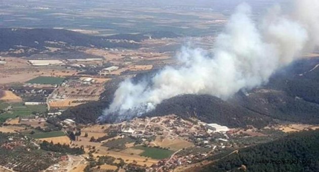 İzmir'deki orman yangının nedeni belli oldu!