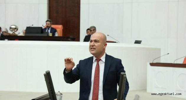 İzmir'e ayrılan bütçeye tepki gösterdi
