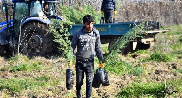 İZSU’dan Tahtalı Havzası’na 1 milyon 109 bin fidan