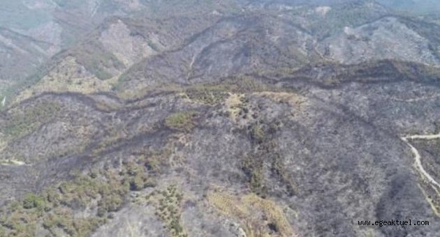 Karabağlar'daki yangından geriye kapkara bir tablo kaldı