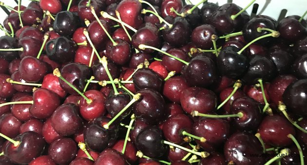 Kiraz ihracatı 161 milyon dolara ulaştı