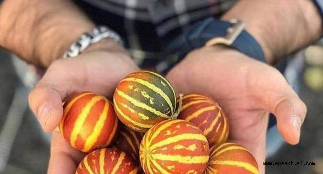 Kokulu kavun' tezgaha çıktı
