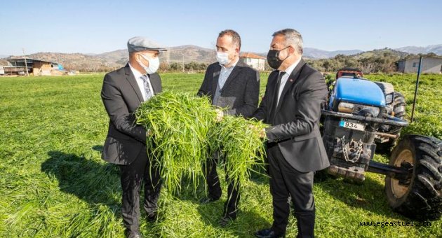 “Kooperatif çatısı altındaki üreticiden bu yıl yüz ton kestane alacağız”