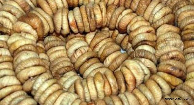  Kuru incir ihracatında ilk gemi 2 Ekim’de yola çıkacak