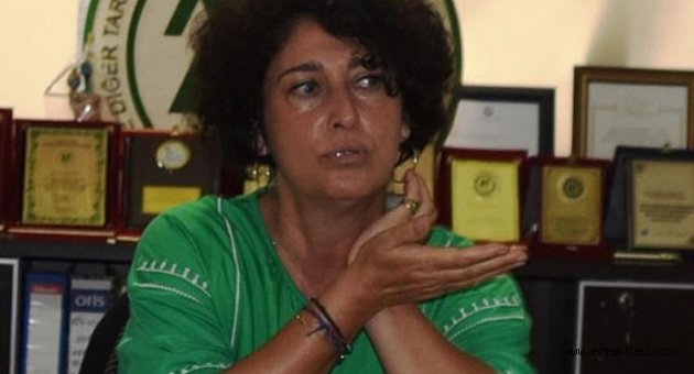 Neptün Soyer'den hobi bahçelerine tepki