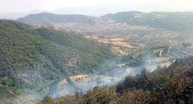Ödemiş'te orman yangını