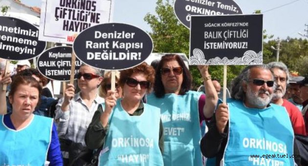 Orkinos çiftliği için 'ÇED olumlu kararı'