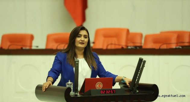Orman yangınlarını meclise taşıdı