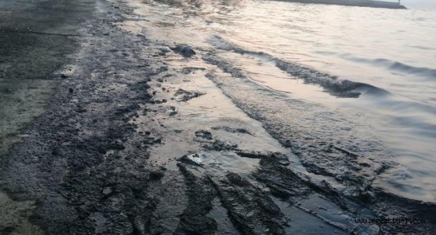Petrol türevi atıklar denize sızmıştı, firmaya 150 bin lira ceza yolda
