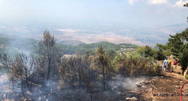 Piknik yaparken ormanı yaktılar