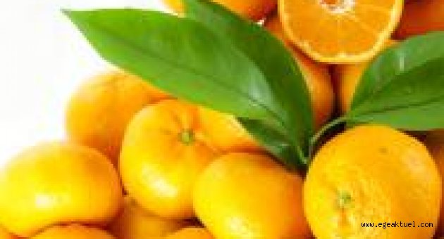 Ruslar, Türkiye’den narenciye ürünleri ve nar bekliyor