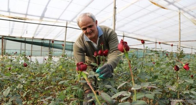 Sevgililerin Gülleri Menderes’ten