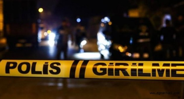 Şiddete uğradığını iddia eden 16 yaşındaki genç, ağabeyini öldürdü