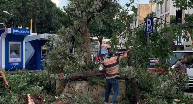 Şiddetli rüzgar sonrası alarma geçti