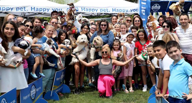 Sokak hayvanları yararına ‘Pati Festivali’