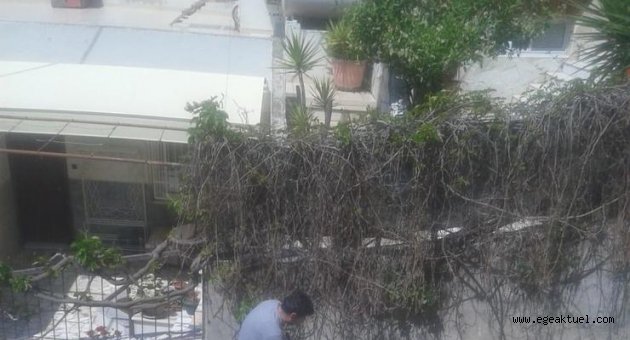 Sokak hayvanlarının mamalarını süpüren vatandaşa ceza!