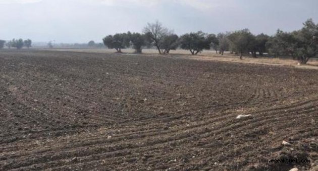 Tarım arazilerini imara açacağı iddia edilen yönetmeliğe durdurma kararı