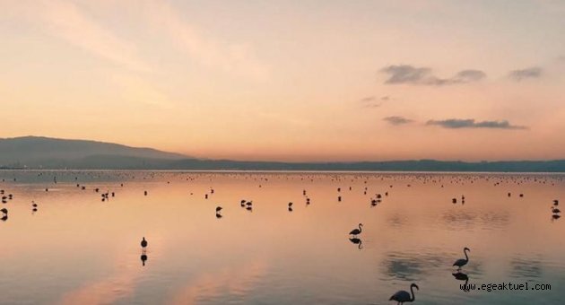 Tarkan, Gediz Deltası için destek istedi