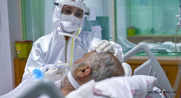 Türkiye'nin ilk corona virüs raporu