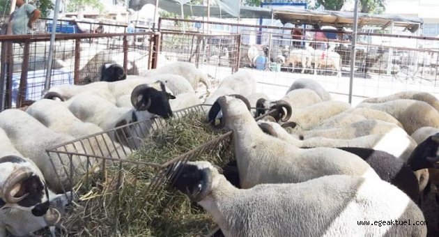 Urla’da denetimler sıklaştı