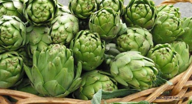Urla Enginar Festivali ne sayılı günler kaldı