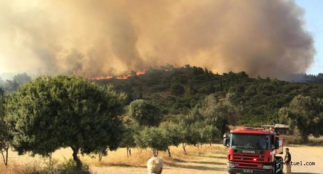 Urla'daki yangına 5 helikopterli takviye