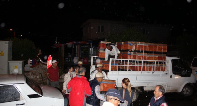 Urlalı 15 üreticiye 45 arıkovanı dağıtıldı