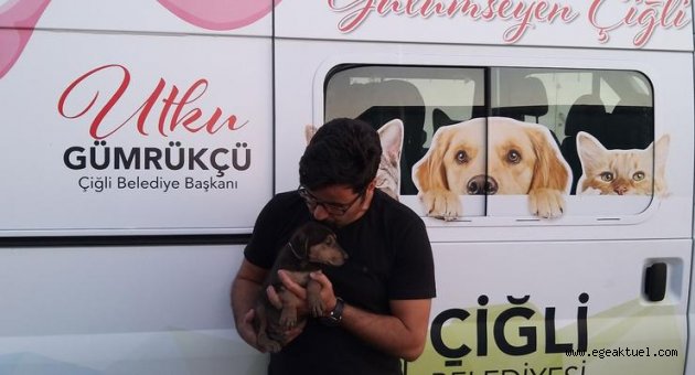 Yavru köpek 5 metre derinlikten kurtarıldı 